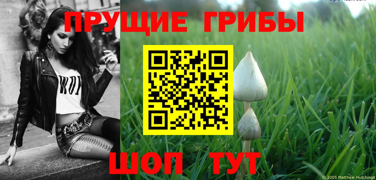 Отрадное  Псилоцибиновые грибы Psilocybine cubensis  Псилоцибиновые грибы Cubensis  Вход с VPN 